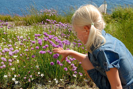 斯堪的纳维亚生活方式——采花的女孩
