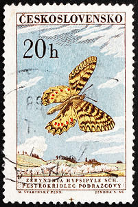 “邮票捷克斯洛伐克 1961 年南方花彩，蝴蝶”