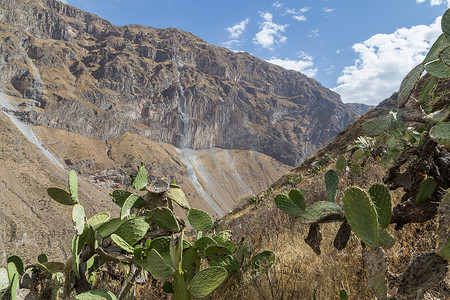 秘鲁的科尔卡峡谷