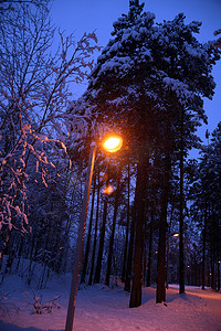冬末夜晚的路灯照明