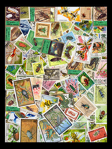 昆虫邮票