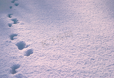 深雪中的脚印