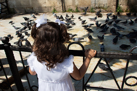 鸽群摄影照片_街头喂食的饥饿鸽群中的小孩