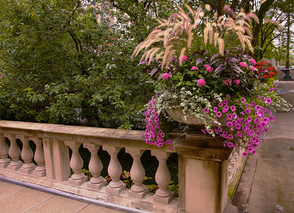 栏杆背景摄影照片_栏杆角上的白色和紫色花朵