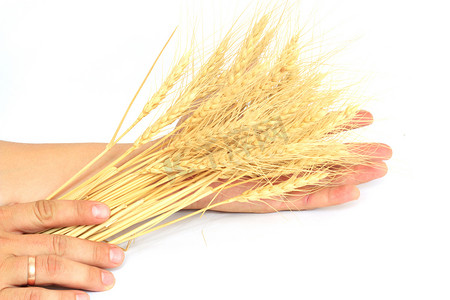 手中的麦子