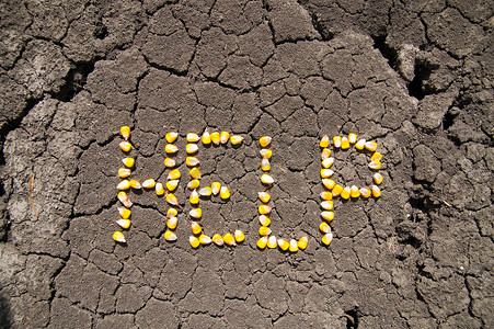 干玉米粒摄影照片_裂土上玉米粒的“帮助”一词