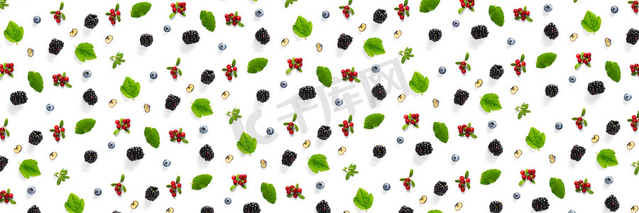 秋季banner摄影照片_一套野生浆果、黑莓、蓝莓、越橘和 bramble.banner 白色背景上的背景由秋季森林野生浆果制成。