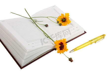 “空开的日记本，黄色的花朵和黄色的圆珠笔。”