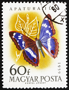 昆虫邮票摄影照片_“匈牙利邮票 1959 年 Leser Purple Emperor，Apatura Ilia，B”