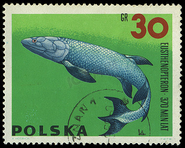 波兰 — 大约 1965 年：一张印在波兰的邮票显示 Eusthenop