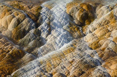“美国怀俄明州帕克县黄石国家公园，帕莱特斯普林斯，猛犸温泉，石灰石和富含矿物质的小溪流的细节”