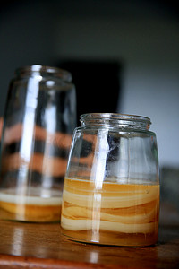 发酵罐摄影照片_史酷比康普茶发酵罐