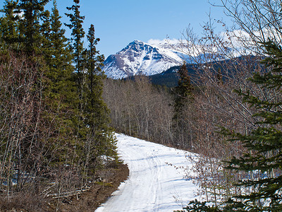 “在加拿大育空山脉使用良好的冬季步道”