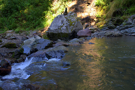 小河水摄影照片_鹅卵石作为流经森林的一条小山河途中的障碍。