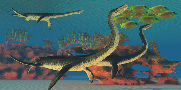 海底蛇颈龙