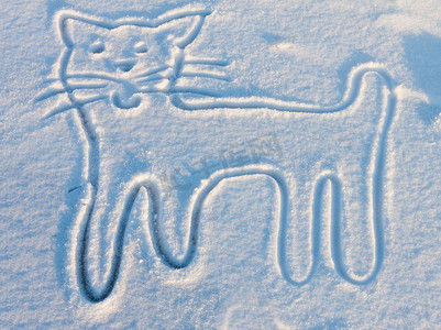 天猫ip摄影照片_一只猫在雪地里的手绘图
