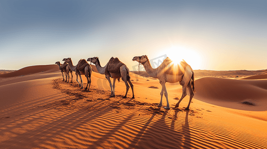 白天沙漠中的骆驼