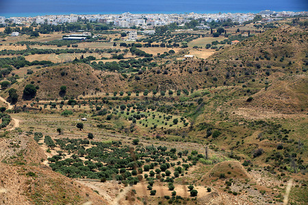 从安蒂马基亚要塞看到的卡达美纳周围的橄榄树。