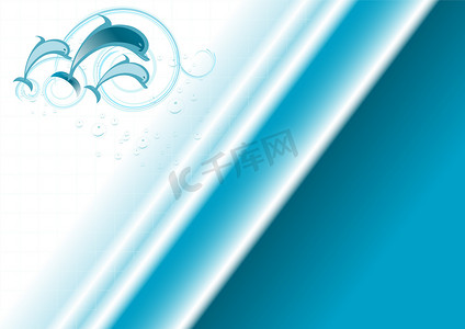 海洋主题摄影照片_带有海豚的海洋主题横幅