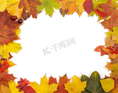 秋天里的枫叶摄影照片_秋天树叶的框架