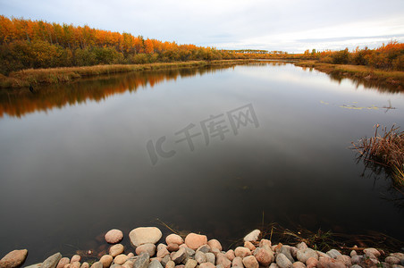 草地湖公园的 Waterhen 河