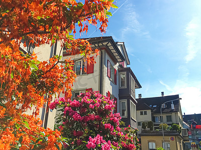 房地产绽放摄影照片_瑞士苏黎世州 Richterswil 街上开花的树木和房屋、瑞士建筑和房地产