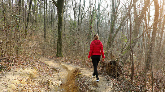 秋冬穿着红色羽绒服独自走在林间小路上的年轻女子
