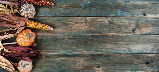 在万圣节或感恩节假期背景下，在褪色的蓝色木板上陈年南瓜和玉米