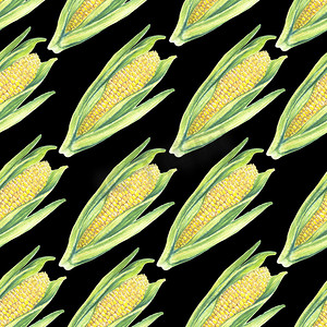 黄色玉米棒摄影照片_“黑色背景叶子的玉米棒无缝图案。生态蔬菜植物。商店设计，健康的生活方式，包装，纺织品。手绘水彩插图。植物写实艺术。”