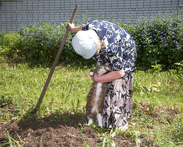 个人情节摄影照片_拿菜刀的老太婆带猫