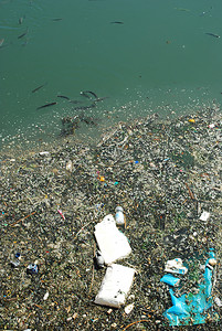 满是垃圾和鱼的受污染河流
