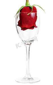 玻璃酒杯中的红玫瑰