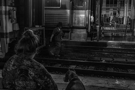 女人和她的狗在华南蓬火车站或华南蓬火车站等火车，是曼谷的主要火车站，黑白相间。