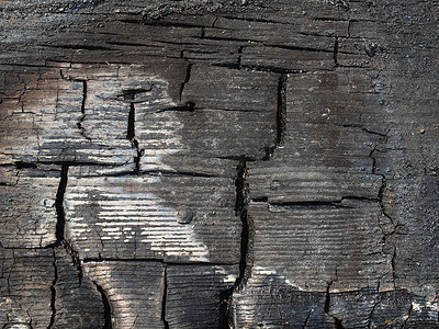 烧过的木头摄影照片_烧过的木头
