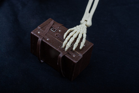 人体骨骼摄影照片_模型手提箱上的人体骨骼手部解剖模型