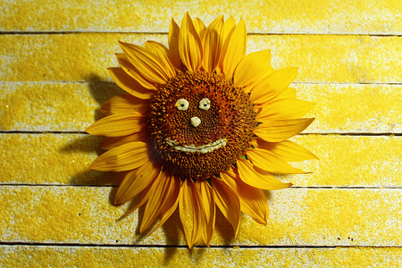 搞笑生日快乐摄影照片_黄沙白板上有脸的向日葵