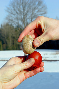 拿着彩蛋摄影照片_两只手拿着复活节彩蛋，试图打破对方的彩蛋。