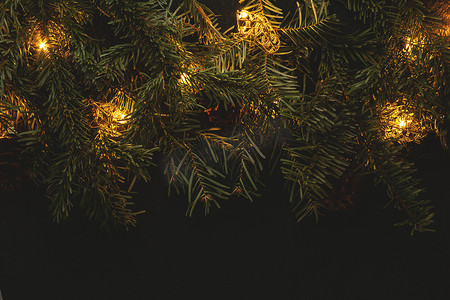 发光的圣诞树摄影照片_圣诞作文，深色背景中圣诞树的枝条，灯火通明