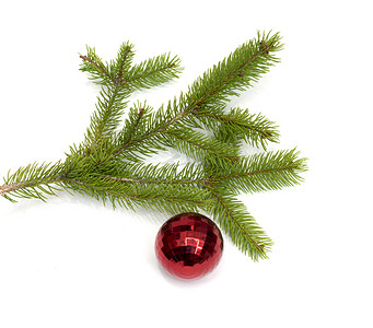 “圣诞树球挂在圣诞树枝上，孤立”