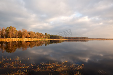 Dwingelderveld 的小野湖