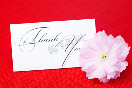 红色花卉邀请函摄影照片_樱花花和一张在红色背景上签名的感谢卡