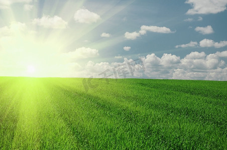 绿色的田野和太阳的天空