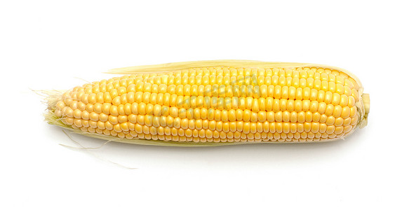 白色背景上的新鲜玉米