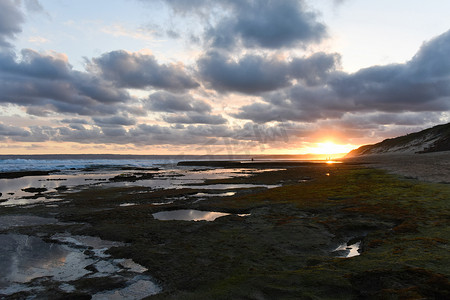 Dusk Low Tide 苔藓 岩石 泳池 海滩