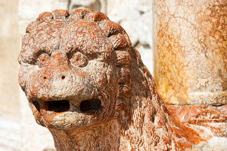 石狮子摄影照片_圣芝诺维罗纳大教堂 - 大理石狮子