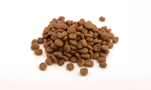 粗磨形式的干猫粮或狗粮