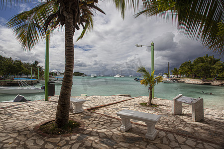 Bayahibe 风景照中的棕榈和海