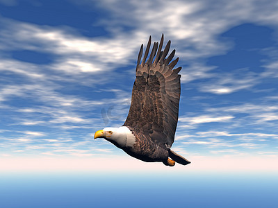 展翅雄鹰摄影照片_优雅的雄鹰展翅翱翔在天空