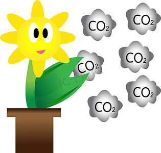 鲜花和二氧化碳。