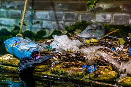 海洋塑料垃圾污染摄影照片_被塑料废物污染的地区、水污染、环境意识
